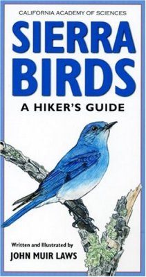 Sierra Birds