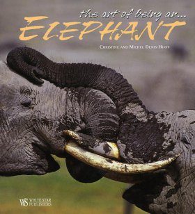 The Art of Being an Elephant