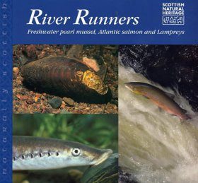 River Runners