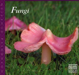 Fungi