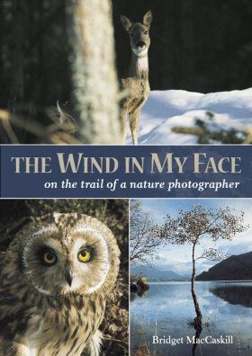 The Wind in my Face