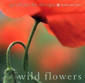 Wild Flowers