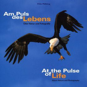At the Pulse of Life / Am Puls des Lebens