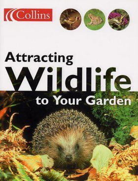 Attracting Wildlife to Your Garden