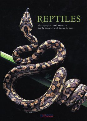 Reptiles