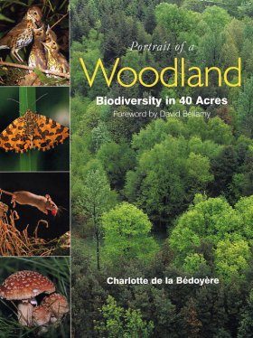 Portrait of a Woodland