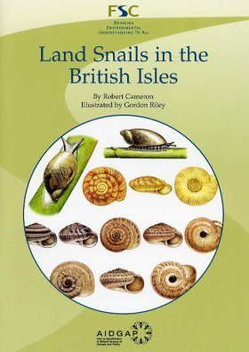 Land Snails in the British Isles