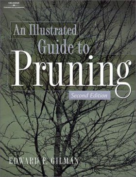 Illustrated Guide to Pruning