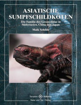 Asiatische Sumpfschildkröten