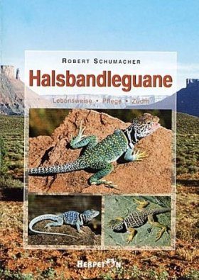 Halsbandleguane: Lebensweise, Haltung, Zucht