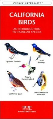 California Birds