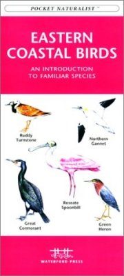 Eastern Coastal Birds