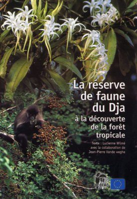 La Reserve de Faune du Dja