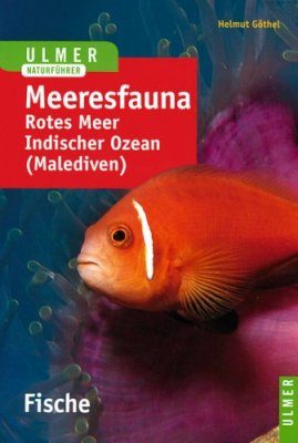 Meeresfauna Rotes Meer