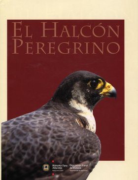 El Halcon Peregrino