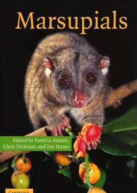 Marsupials