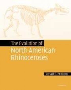 The Evolution of North American Rhinoceroses