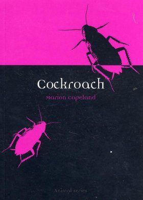 Cockroach