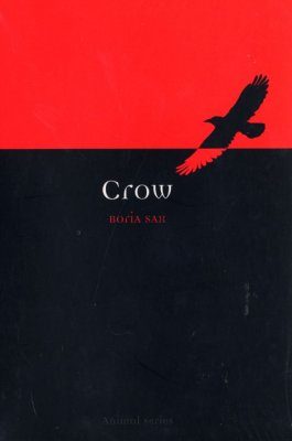Crow