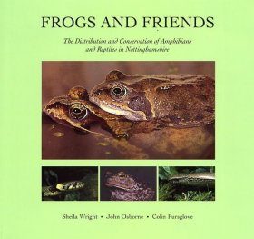 Frogs and Friends