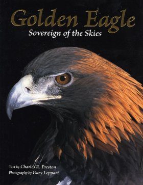 Golden Eagle: Sovereign of the Skies