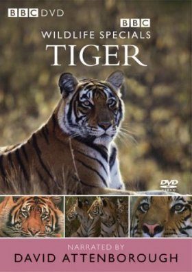 Tiger - DVD (Region 2 & 4)