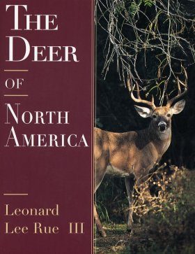 The Deer of North America
