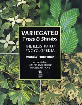 Variegated Trees and Shrubs