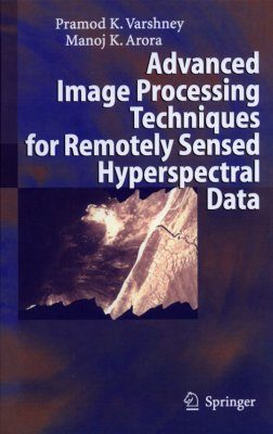 Advanced Image Processing Techniques for Remotely Sensed Hyperspectral Data