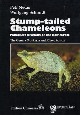 Stump-tailed Chameleons: Miniature Dragons of the Rainforest