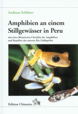 Amphibien an einem Stillgewässer in Peru