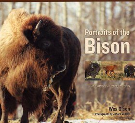 Portraits of the Bison