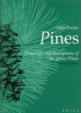 Pines: Drawings and Descriptions of the Genus Pinus