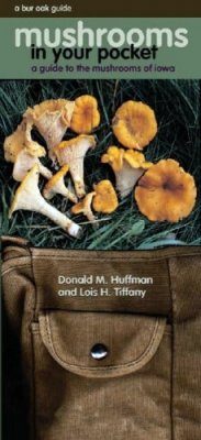 Mushrooms in Your Pocket
