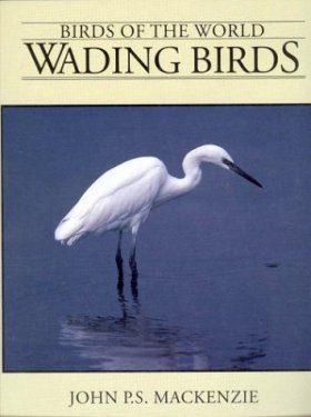 Wading Birds