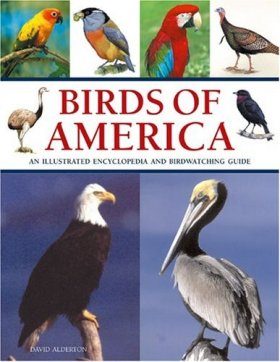 Birds of America