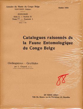 Orthoptères, Gryllides