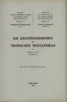 Die Krustenanemonen des Tropischen Westafrikas