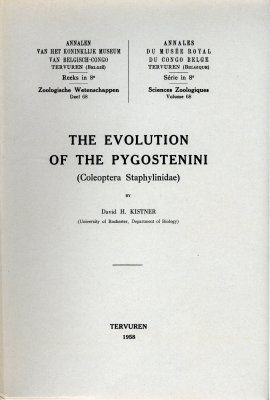 The Evolution of the Pygostenini (Coleoptera Staphylinidae)