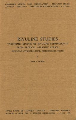 Rivuline Studies