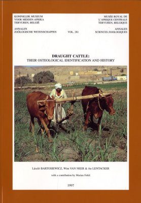 Draught Cattle