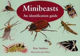 Minibeasts: An Identification Guide