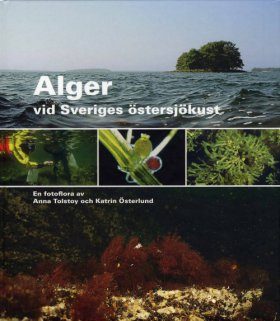 Alger vid Sveriges Ostersjokust