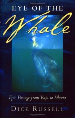 Eye of the Whale