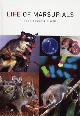 Life of Marsupials
