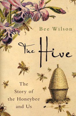 The Hive