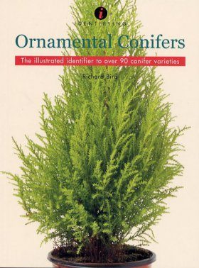 Identifying Ornamental Conifers