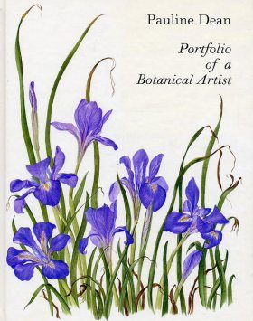 Portfolio of a Botanical Artist