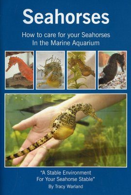 Seahorses: How to Care For Your Seahorses in the Marine Aquarium