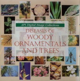 Diseases of Woody Ornamentals and Trees